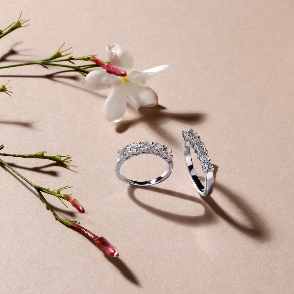 0.25 Ctw Half Diamond Ring Band | Diamond ring price | Best jewelry stores 